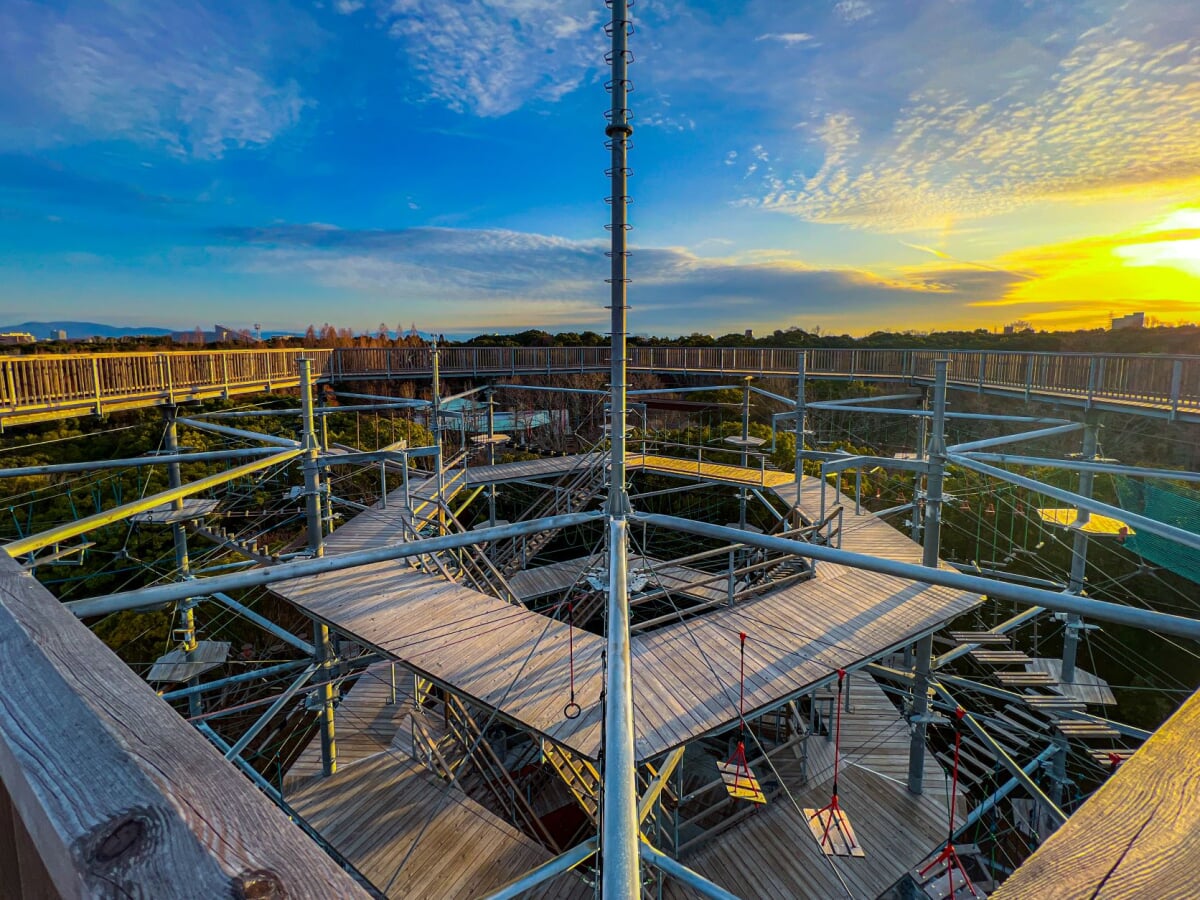 万博BEAST(万博ビースト)の写真8