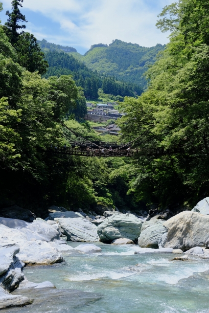 祖谷のかずら橋の写真2