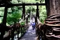 祖谷のかずら橋
