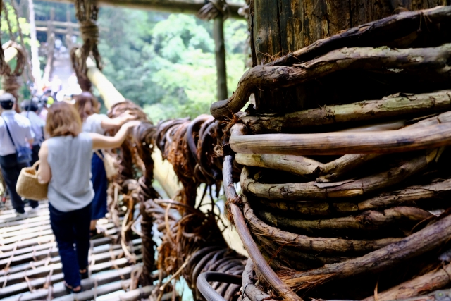 祖谷のかずら橋の写真4