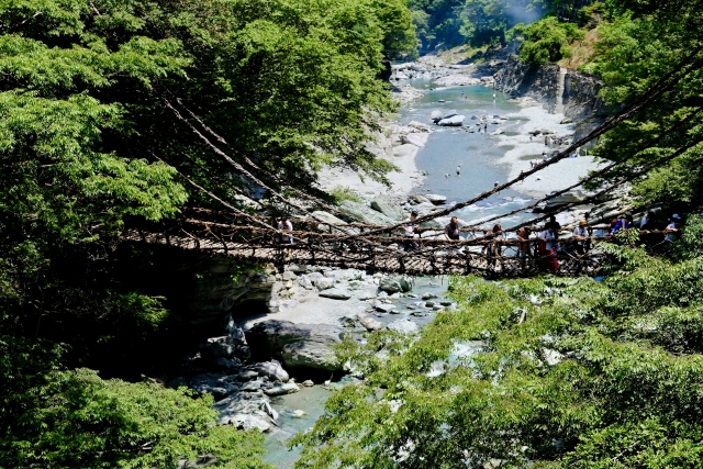 祖谷のかずら橋の写真7