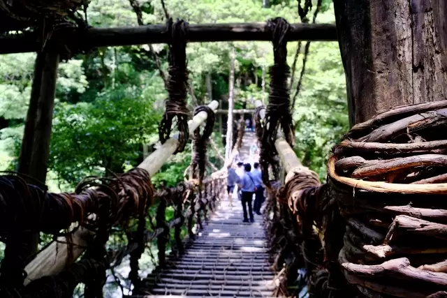 祖谷のかずら橋の写真1