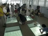 大鳴門橋遊歩道 渦の道