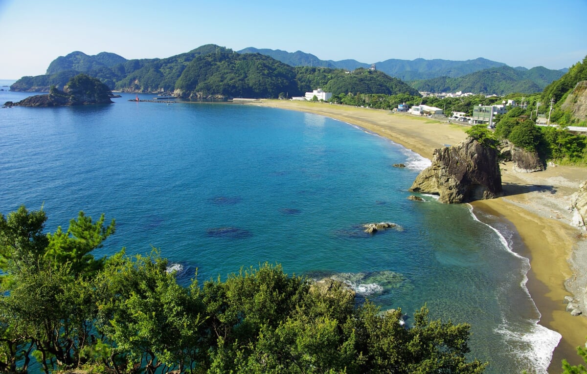 日和佐うみがめ博物館 カレッタの写真2