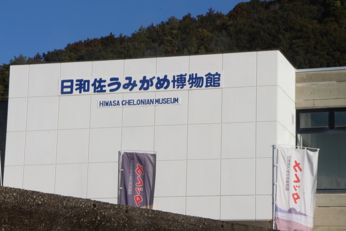 日和佐うみがめ博物館 カレッタの写真1