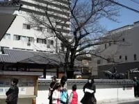 秋山兄弟生誕地