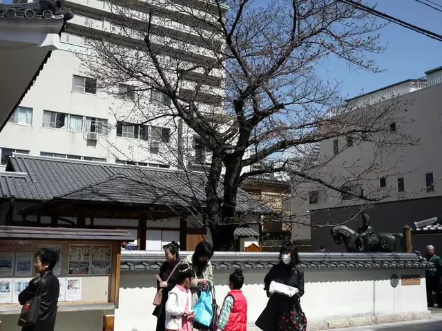 秋山兄弟生誕地の写真1