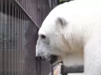 愛媛県立とべ動物園
