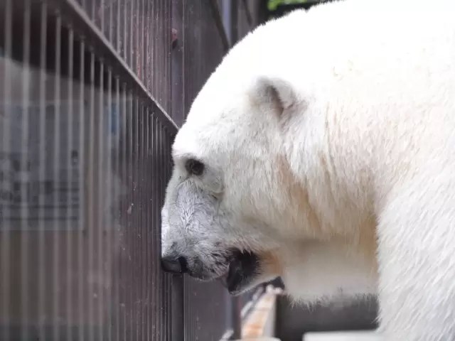 愛媛県立とべ動物園の写真1