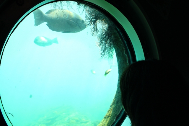 足摺海底館の写真2
