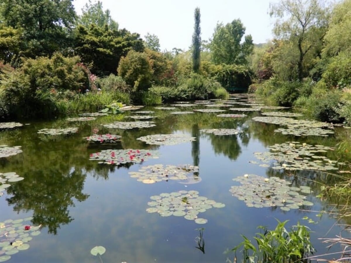 北川村モネの庭マルモッタンの写真2