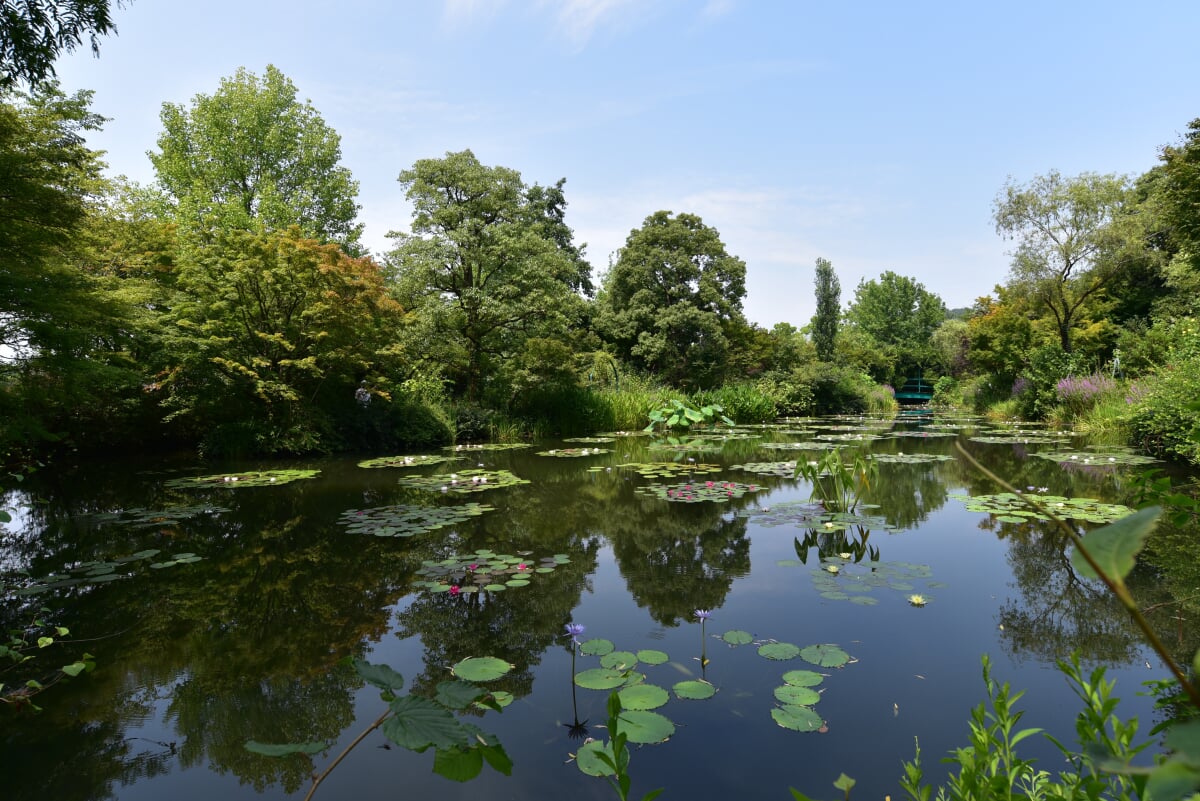 北川村モネの庭マルモッタンの写真5
