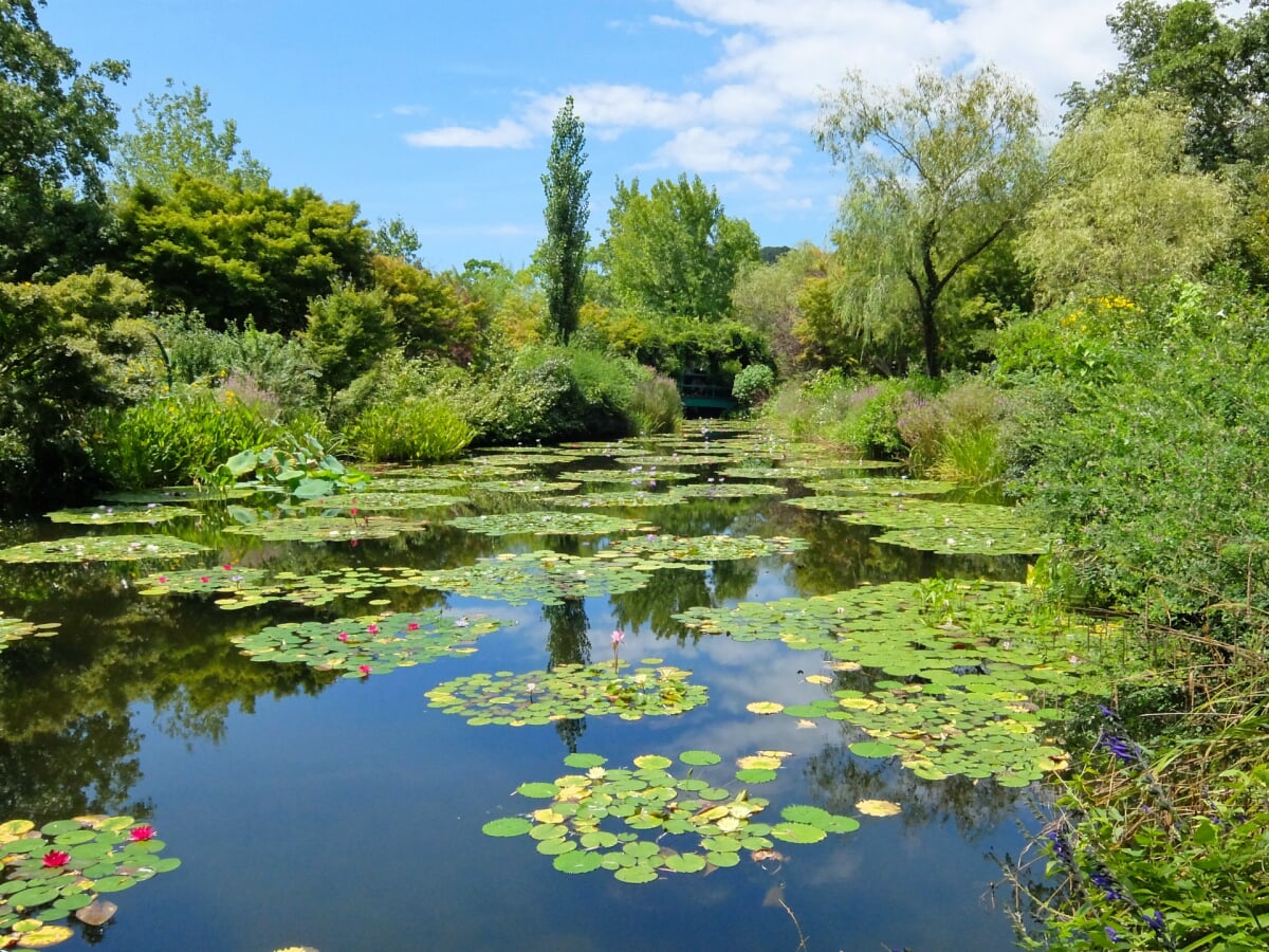 北川村モネの庭マルモッタンの写真6
