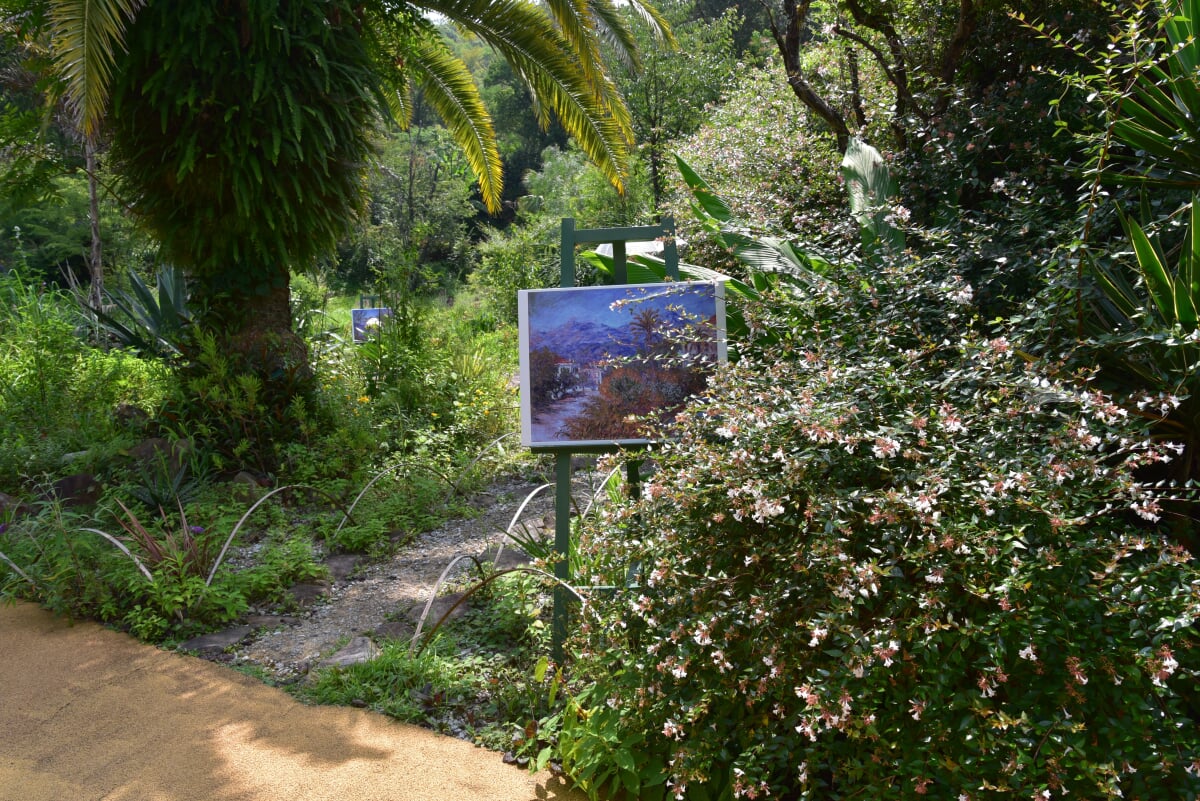 北川村モネの庭マルモッタンの写真7