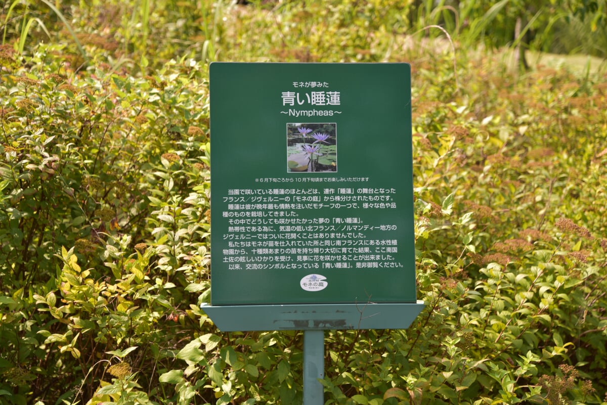 北川村モネの庭マルモッタンの写真12