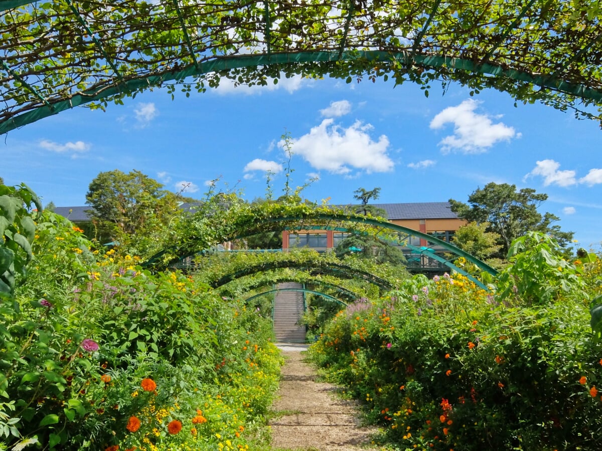 北川村モネの庭マルモッタンの写真14