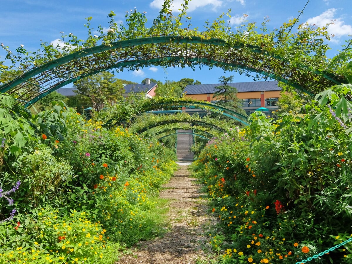 北川村モネの庭マルモッタンの写真15