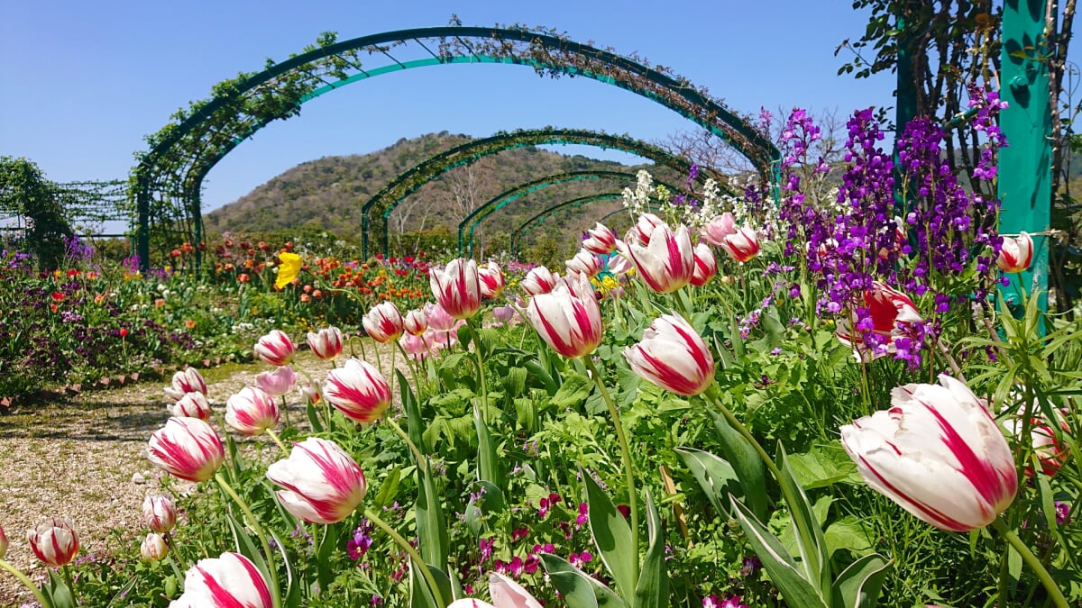 北川村モネの庭マルモッタンの写真1