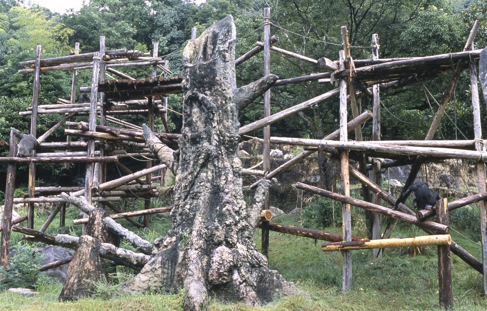 高知県立のいち動物公園の写真2