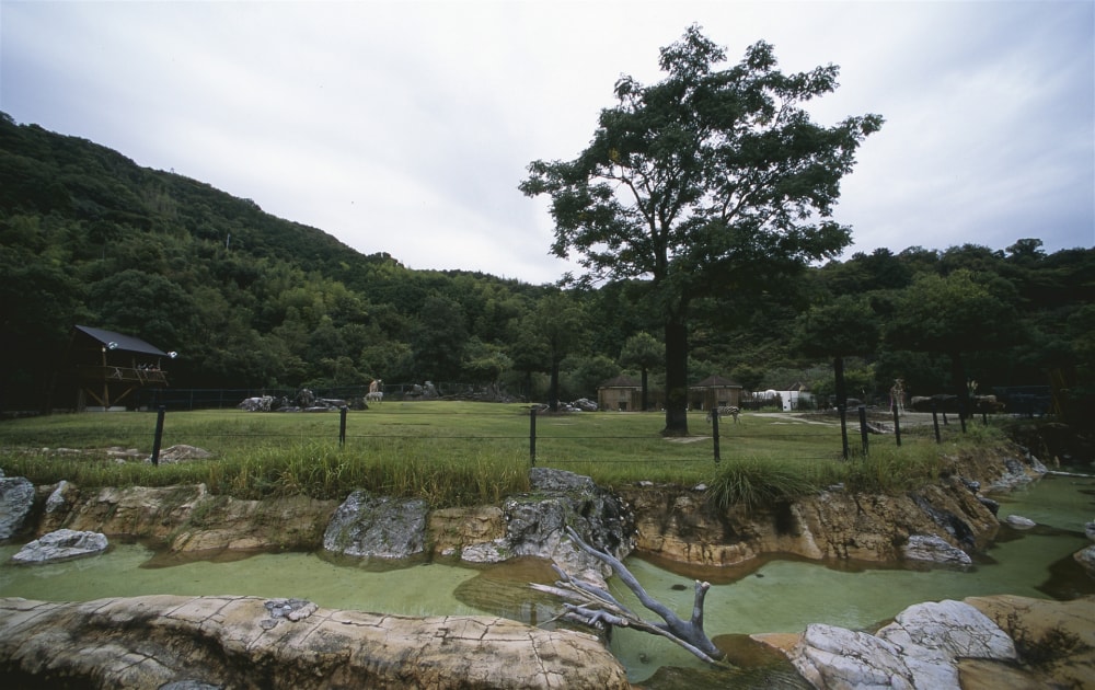 高知県立のいち動物公園の写真5