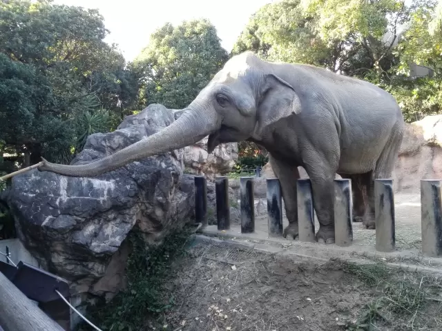 到津の森公園の写真1