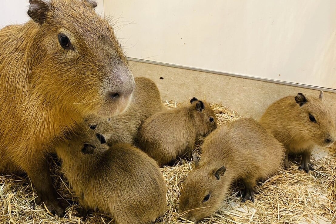 アニタッチららぽーと名古屋みなとアクルスの写真2