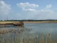 北九州市響灘ビオトープ