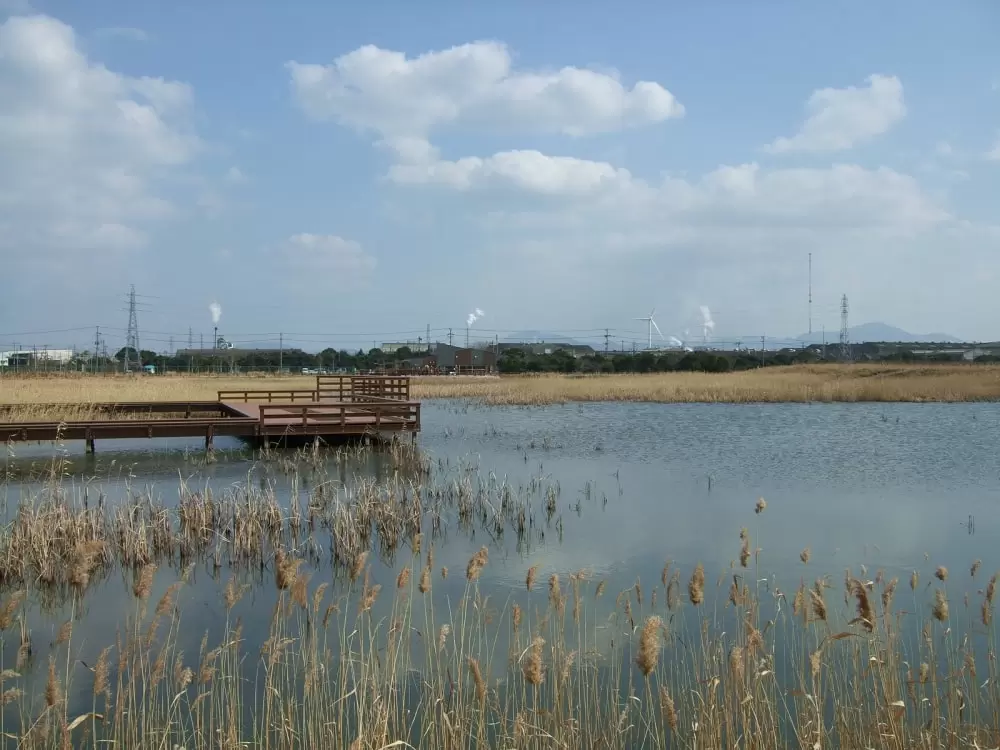 北九州市響灘ビオトープの写真1
