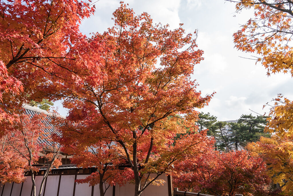 小倉城庭園の写真9