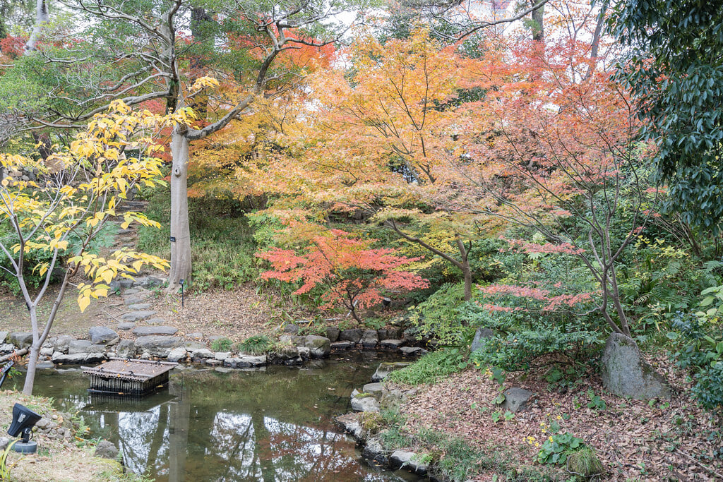 小倉城庭園の写真13