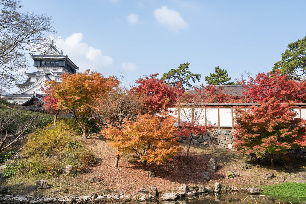 小倉城庭園の写真15