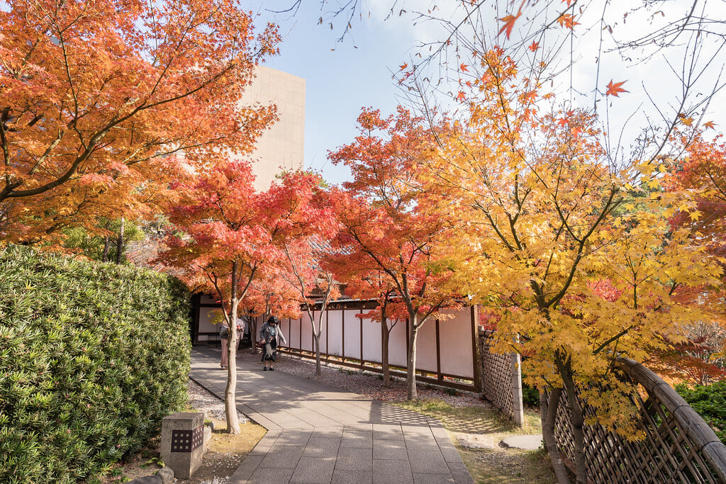 小倉城庭園の写真17