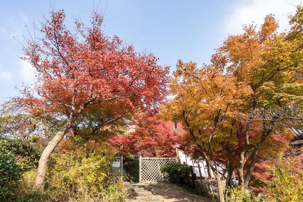 小倉城庭園の写真1