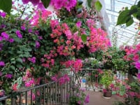 ブーゲンハウス嬉野