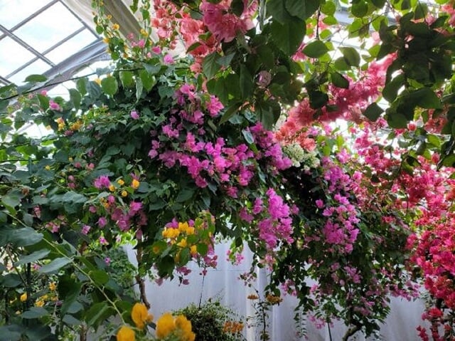ブーゲンハウス嬉野の写真4