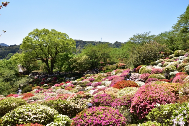 御船山楽園の写真3