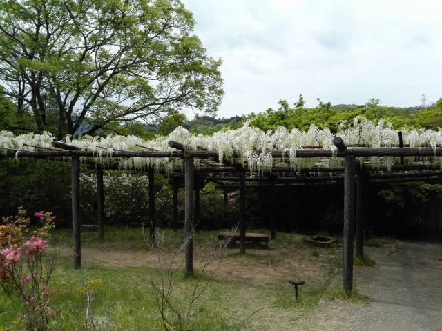 御船山楽園の写真5