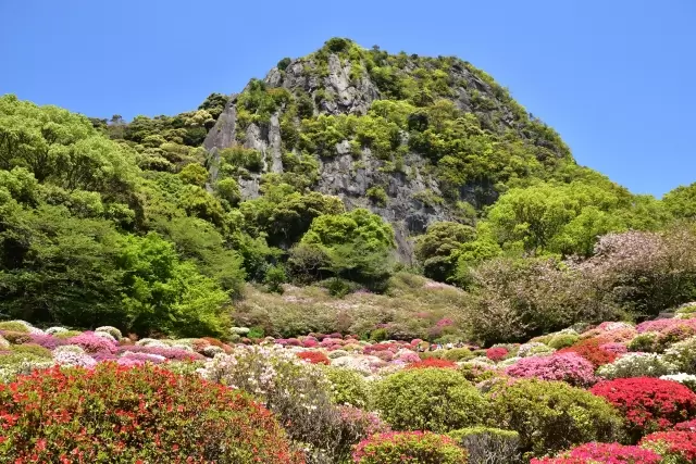 御船山楽園の写真1