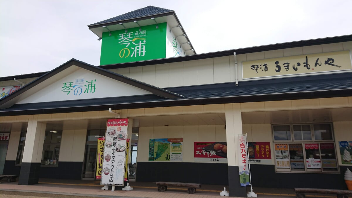 道の駅 琴の浦の写真1