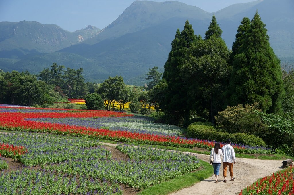 くじゅう花公園の写真5