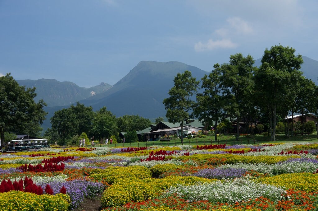 くじゅう花公園の写真6