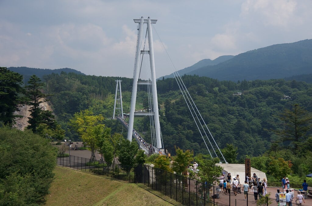 くじゅう花公園の写真7