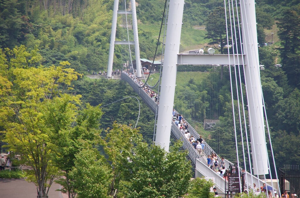 くじゅう花公園の写真10