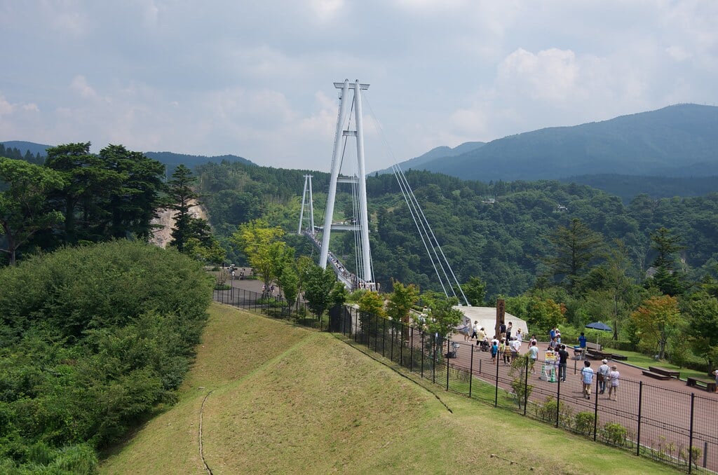 くじゅう花公園の写真16