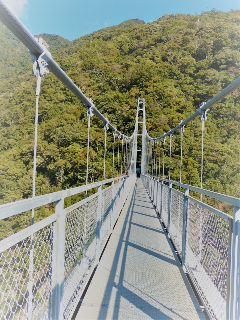 綾の照葉大吊橋の写真3