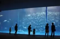 いおワールドかごしま水族館