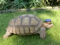 長崎鼻パーキングガーデン