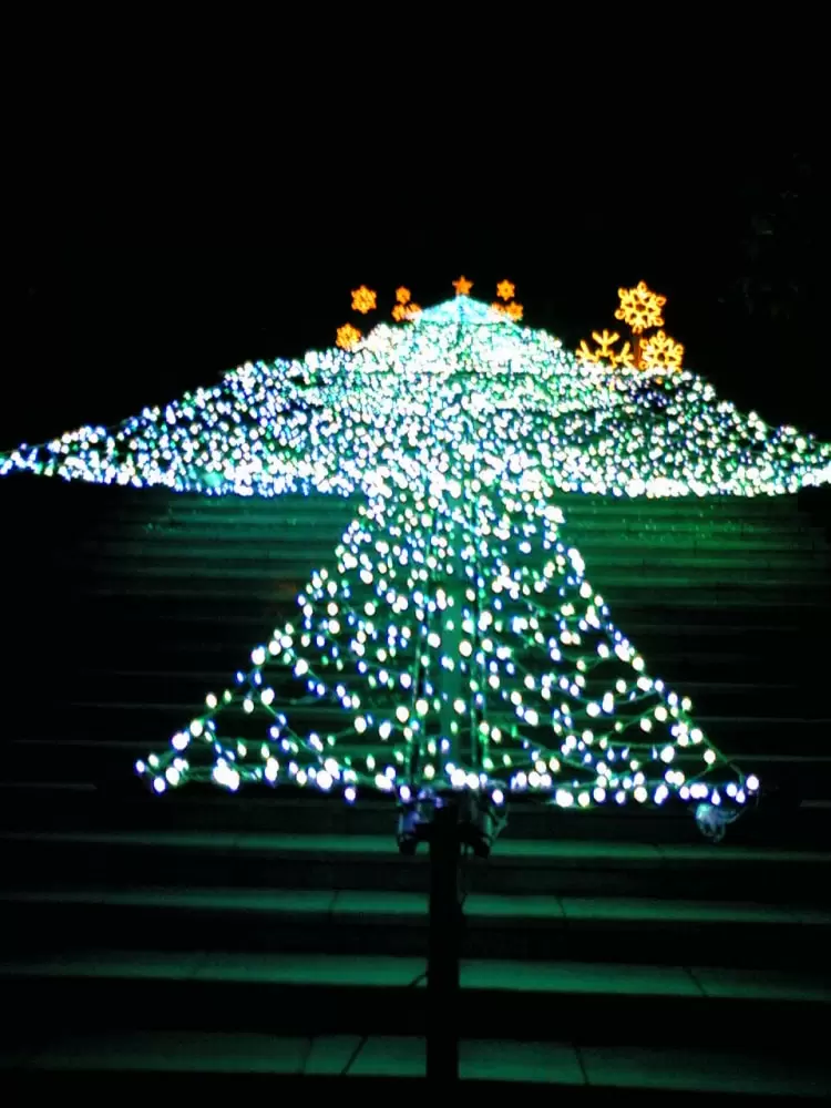 フラワーパークかごしまの写真1