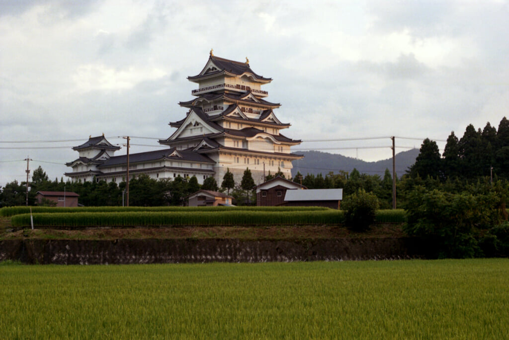 勝山城博物館の写真2