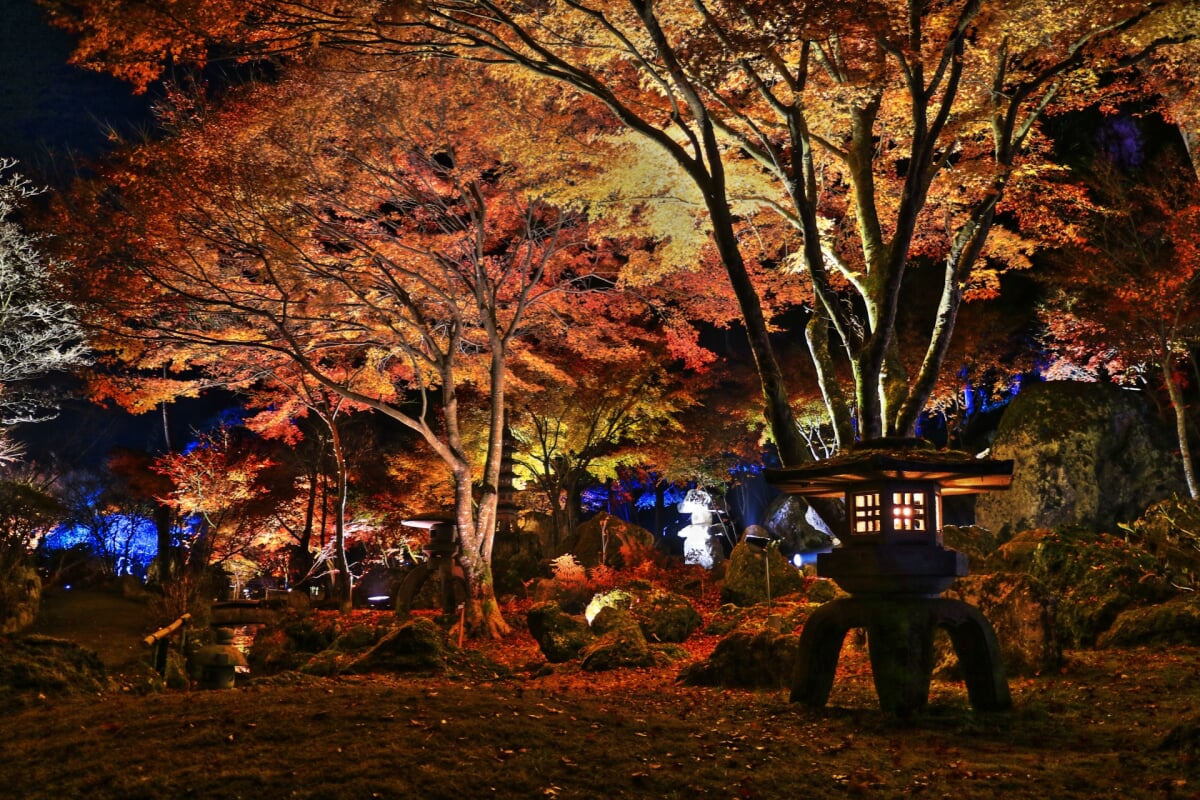 天守閣自然公園 小屋館跡庭園の写真3